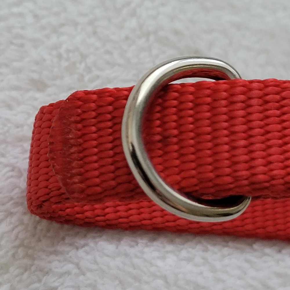 Puppy Collar | NWOT Red Nylon Silver Buckle